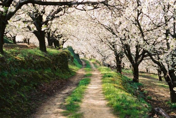 Apartamento Rural San Jorge Bajo Navaconcejo Exteriér fotografie